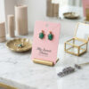 aretes tortugas 1